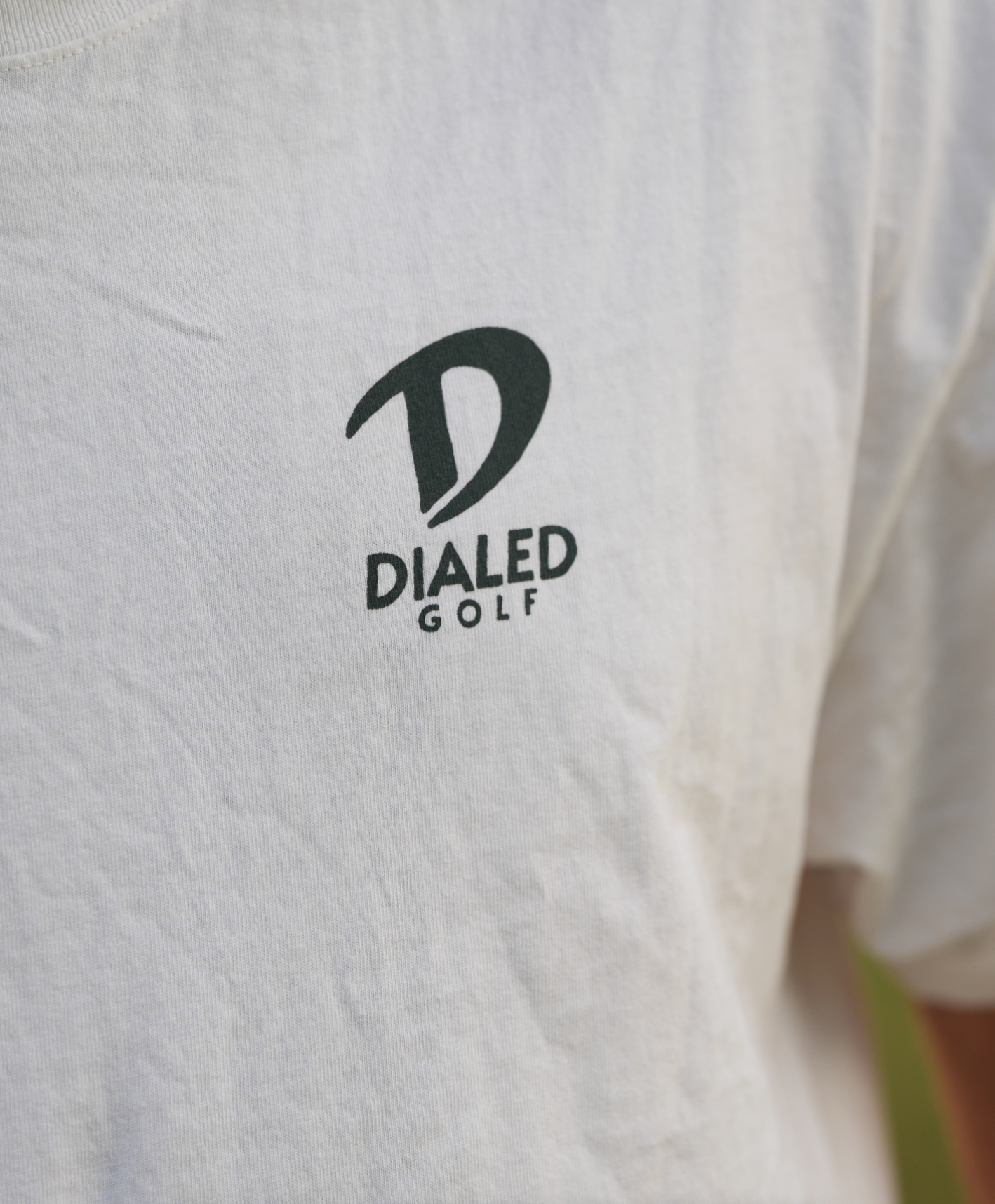 "Don’t Let Idiots Ruin Your Day" Tee